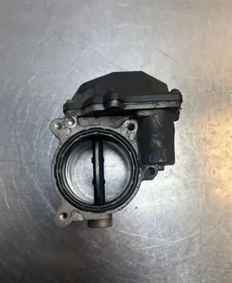 Throttle body valve