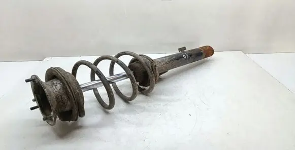 Front shock absorber with coil spring