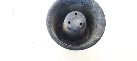 Alarm system siren