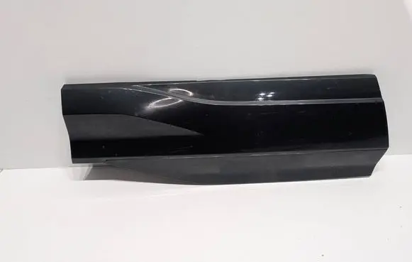 Rear door trim (molding)