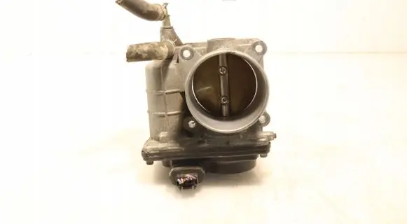 Throttle body valve