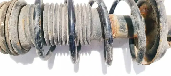 Front coil spring