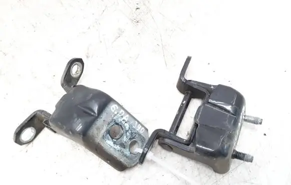 Renault Koleos I Rear door hinge set TEGXA