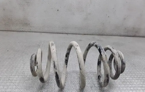 Volkswagen PASSAT B5 Rear coil spring