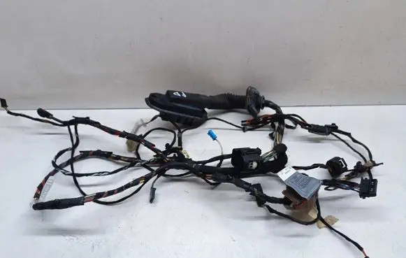 BMW X5 E70 Front door wiring loom 9242074