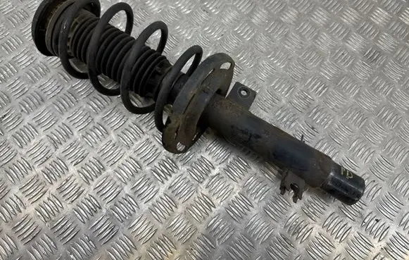 Citroen C3 Front shock absorber with coil spring 