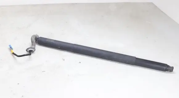 Tailgate/trunk strut/damper