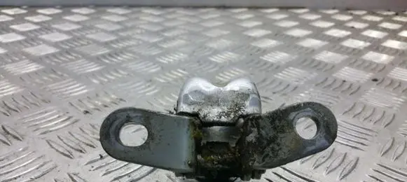 Hyundai Santa Fe Front door lower hinge 