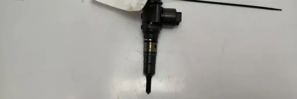 Dodge Journey Fuel injector 10414720404