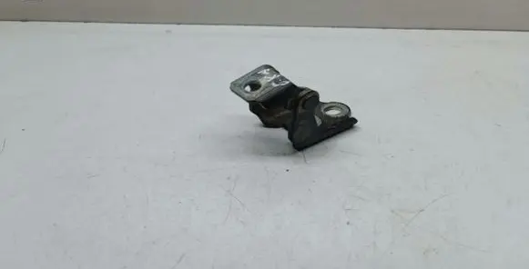 Renault Espace V (RFC) Rear door lower hinge