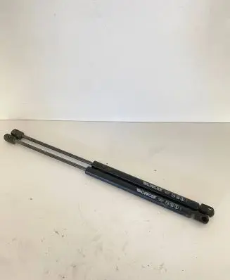 Tailgate strut