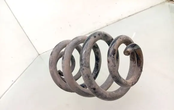 Rear coil spring