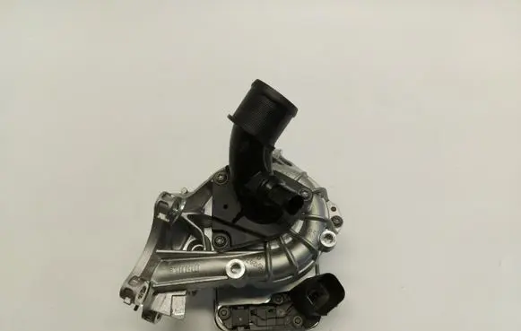 Renault Megane E-Tech Water pump 210100445R