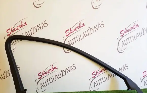 Audi A4 S4 B9 Front door glass trim molding 8W0867609