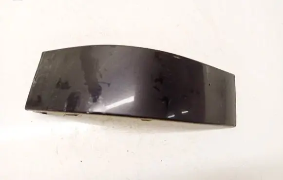 Rear/tail light trim molding