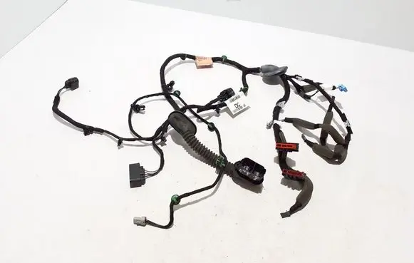 Other wiring loom