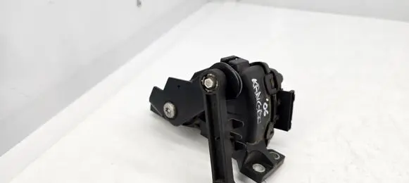 Renault Kangoo I Accelerator pedal position sensor 8200699691