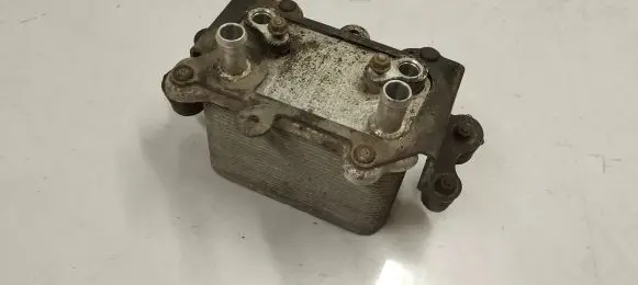 Mercedes-Benz AMG GT R190 C190 Gearbox / Transmission oil cooler A1975000800