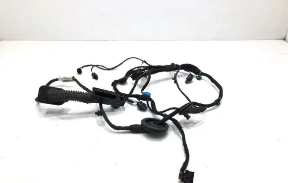 Audi A8 S8 D5 Rear door wiring loom 4N0971687AN