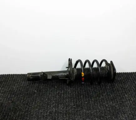 Ford Transit - Tourneo Connect Front shock absorber/damper DV6118045AC