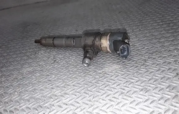 Fiat Multipla Fuel injector 0445110276