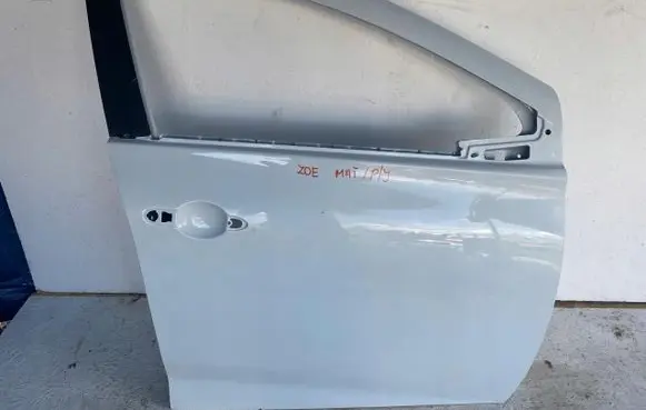 Renault Zoe Front door 301521112R