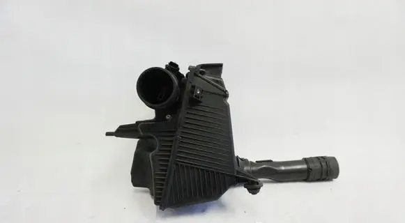 Renault Kangoo II Air filter box 165003318R