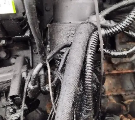 Citroen Jumpy Engine oil radiator 