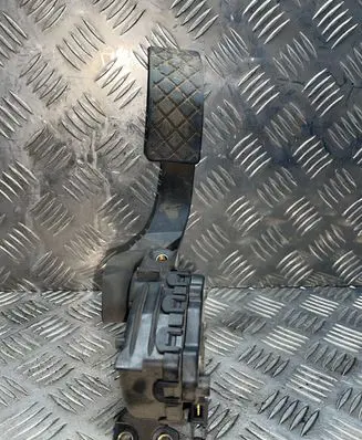 Volkswagen PASSAT B5 Accelerator throttle pedal 8D1721523 024699