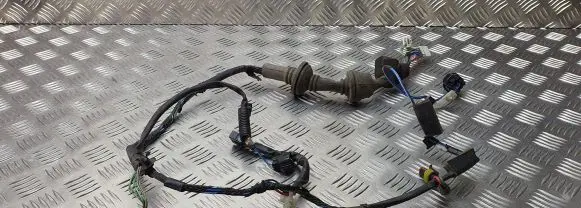 Toyota Avensis T220 Front door wiring loom
