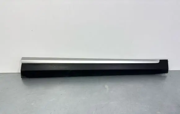 MG ZS Front door trim (molding) 10360766