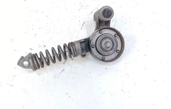 Buick Encore I Alternator belt tensioner 25195388