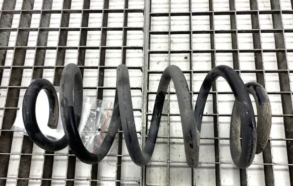 Rear coil spring