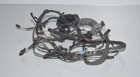 BMW 6 F06 Gran coupe Front door wiring loom 9255395 9303715 61129303715