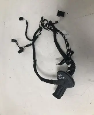 Rear door wiring loom