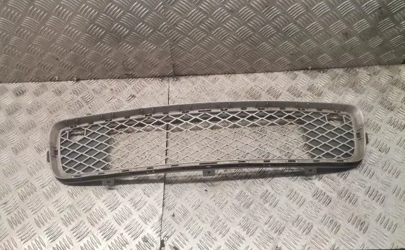 BMW X5 E70 Front bumper lower grill 10503410