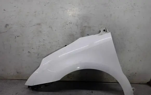 Fender