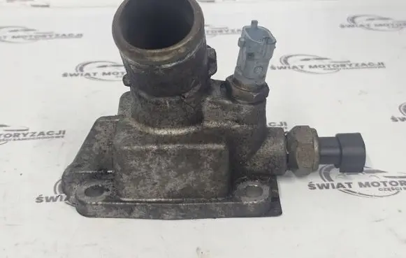 Thermostat/thermostat housing