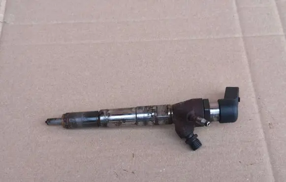 Nissan Juke I F15 Fuel injector H8201100113 166006212R