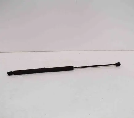 Tailgate/trunk strut/damper