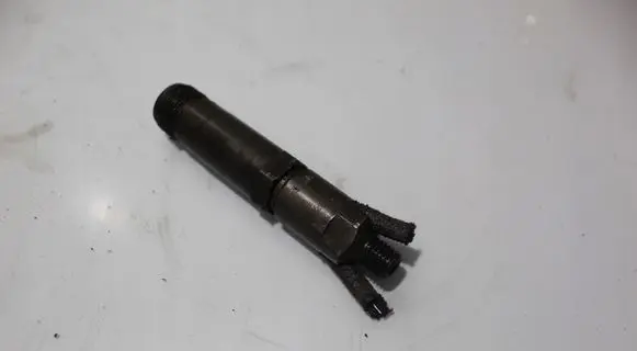 Mercedes-Benz E W210 Fuel injector 0000101051