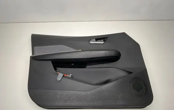 Cupra Born Front door card panel trim 10E867131 156265232