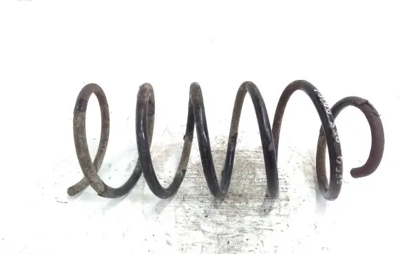 Front coil spring