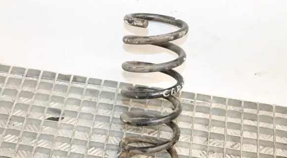 Chevrolet Captiva Rear coil spring