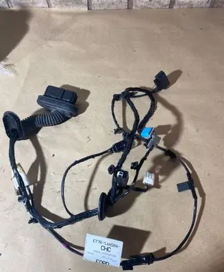 Front door wiring loom