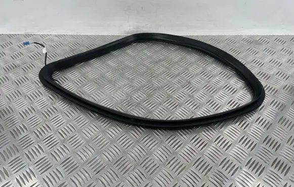 Mercedes-Benz GL X166 Rubber seal rear door window/glass A1666808900 A1666806501
