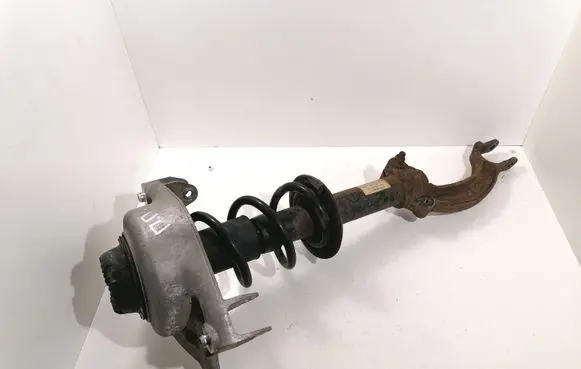 Front shock absorber with coil spring