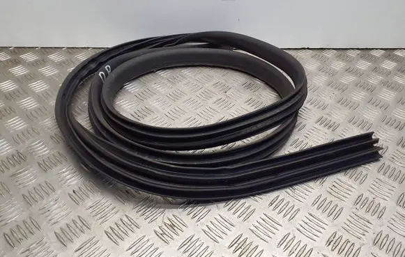 Ford Focus Front door rubber seal