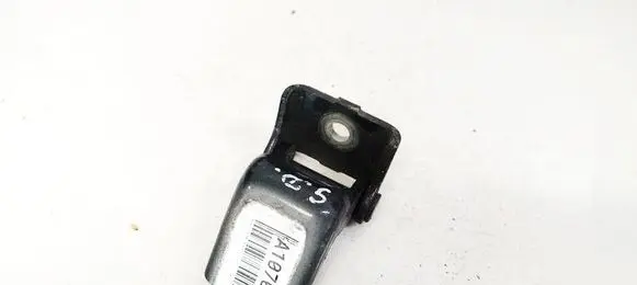 Renault Megane III Rear door lower hinge