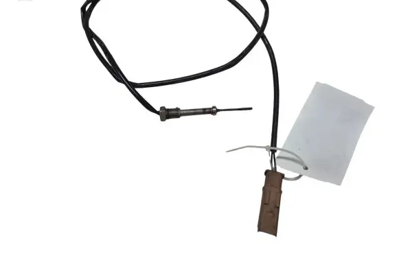 Citroen C5 Exhaust gas temperature sensor